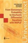 Sasha Cyganowski, Peter Kloeden, Jerzy Ombach - From Elementary Probability to Stochastic Differential Equations with MAPLE®