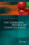 Jack A. Tuszynski - The Emerging Physics of Consciousness