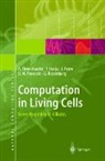 Andrzej Ehrenfeucht, Tero Harju, Ion Petre, David M. Prescott, Grzegorz Rozenberg - Computation in Living Cells