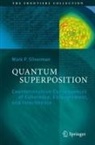 Mark P. Silverman - Quantum Superposition