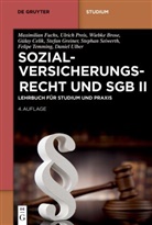 Gülay Celik, Stefan Greiner, Stephan Seiwerth, Felipe Temming, Felipe u a Temming, Daniel Ulber... - Sozialversicherungsrecht und SGB II