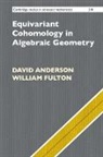 David Anderson, William Fulton - Equivariant Cohomology in Algebraic Geometry