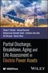 Haitham Abu-Rub, Mohammad AlShaikh Saleh, Ahmad Darwish, Ghrayeb Ali, Marek Olesz, Shady S. Refaat... - Partial Discharge, Breakdown, Aging and Life Assessment in Electric