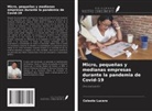Celeste Lucero - Micro, pequeñas y medianas empresas durante la pandemia de Covid-19
