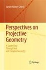 Jürgen Richter-Gebert - Perspectives on Projective Geometry