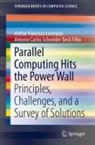 Antonio Carlos Schneider Beck Filho, Arthur Francisco Lorenzon - Parallel Computing Hits the Power Wall