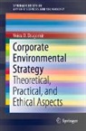 Voicu D. Dragomir - Corporate Environmental Strategy