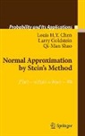 Louis H. Y. Chen, Louis H.Y. Chen, Larry Goldstein, Qi-Man Shao - Normal Approximation by Stein's Method