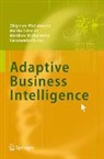 Constantin Chiriac, Matthew Michalewicz, Zbigniew Michalewicz, Martin Schmidt - Adaptive Business Intelligence