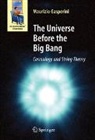 Maurizio Gasperini - The Universe Before the Big Bang
