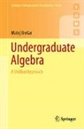Matej Bre¿ar, Matej Bresar, Matej Brešar - Undergraduate Algebra