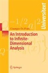 Giuseppe Da Prato - An Introduction to Infinite-Dimensional Analysis