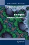 Edoardo Gaffeo, Mauro Gallegati, Domenico Gatti, Gianfranco Giulioni, Antonio Palestrini - Emergent Macroeconomics