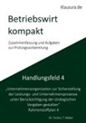 Michael Fischer, Thomas Weber - Betriebswirt kompakt Handlungsfeld 4