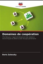 Boris Zalessky - Domaines de coopération