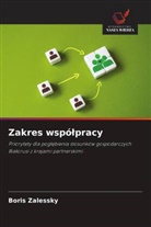 Boris Zalessky - Zakres wspólpracy
