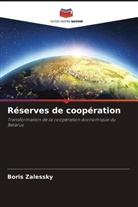 Boris Zalessky - Réserves de coopération
