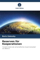 Boris Zalessky - Reserven für Kooperationen