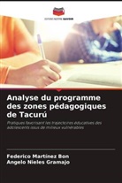Federico Martínez Bon, Angelo Nieles Gramajo - Analyse du programme des zones pédagogiques de Tacurú