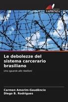 Carmen Amorim-Gaudêncio, Diego B. Rodrigues - Le debolezze del sistema carcerario brasiliano