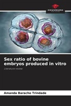 Amanda Baracho Trindade - Sex ratio of bovine embryos produced in vitro