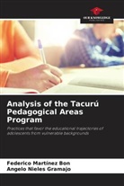 Federico Martínez Bon, Angelo Nieles Gramajo - Analysis of the Tacurú Pedagogical Areas Program