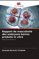 Amanda Baracho Trindade - Rapport de masculinité des embryons bovins produits in vitro
