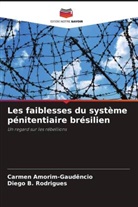 Carmen Amorim-Gaudêncio, Diego B. Rodrigues - Les faiblesses du système pénitentiaire brésilien