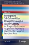 Liana Ricci - Reinterpreting Sub-Saharan Cities through the Concept of Adaptive Capacity