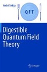 Andrei Smilga - Digestible Quantum Field Theory