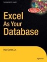 Paul Cornell - Excel as Your Database