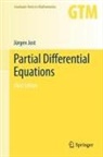 Jürgen Jost - Partial Differential Equations