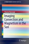 Shravan Hanasoge - Imaging Convection and Magnetism in the Sun
