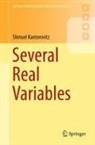 Shmuel Kantorovitz - Several Real Variables