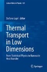 Stefano Lepri - Thermal Transport in Low Dimensions
