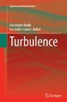 Christophe Bailly, Geneviève Comte-Bellot - Turbulence