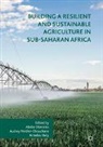 Amadou Boly, Abebe Shimeles, Audrey Verdier-Chouchane - Building a Resilient and Sustainable Agriculture in Sub-Saharan Africa