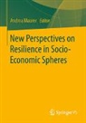 Andrea Maurer - New perspectives on resilience in socio-economic spheres