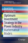 Berenika Bartnik, Ryszard Bartnik, Anna Hnydiuk-Stefan - Optimum Investment Strategy in the Power Industry