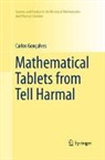 Carlos Gon&ccedil;alves - Mathematical Tablets from Tell Harmal