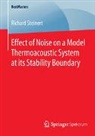 Richard Steinert - Effect of Noise on a Model Thermoacoustic System at its Stability Boundary