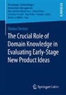 Florian Denker - The Crucial Role of Domain Knowledge in Evaluating Early-Stage New Product Ideas