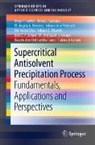 Juliana Q. Albarelli, Tahmasb Hatami, Júlio C. F. Johner, M. Thereza M. S. Gomes, M.Thereza M. S. Gomes, M. Angela A. Meireles... - Supercritical Antisolvent Precipitation Process
