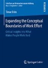 Timur Erim - Expanding the Conceptual Boundaries of Work Effort
