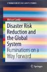 Michael Gordy - Disaster Risk Reduction and the Global System