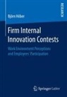 Björn Höber - Firm Internal Innovation Contests