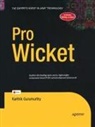 Karthik Gurumurthy - Pro Wicket