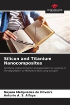 Antonio A. S. Alfaya, Nayara Melquiades de Oliveira - Silicon and Titanium Nanocomposites