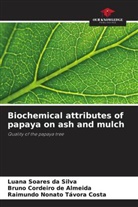 Bruno Cordeiro de Almeida, Luana Soares da Silva, Raimundo Nonato Távora Costa - Biochemical attributes of papaya on ash and mulch