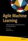 Eric Carter, Matthew Hurst - Agile Machine Learning